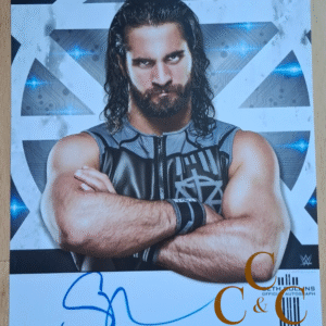 Seth Rollins Poster 35,7cm x 28cm Signed