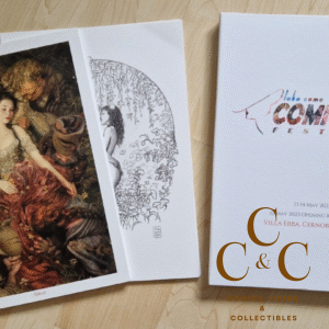 Lake Como Comic Art Festival (LCCAF) 2023 Portfolio - signed by the artists!